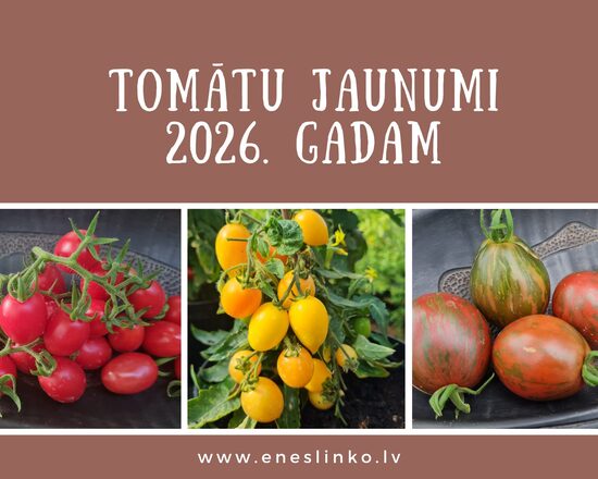 Jaunumi 2026. gadam