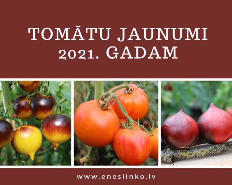 Jaunumi 2021. gadam