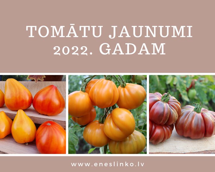 Jaunumi 2022. gadam