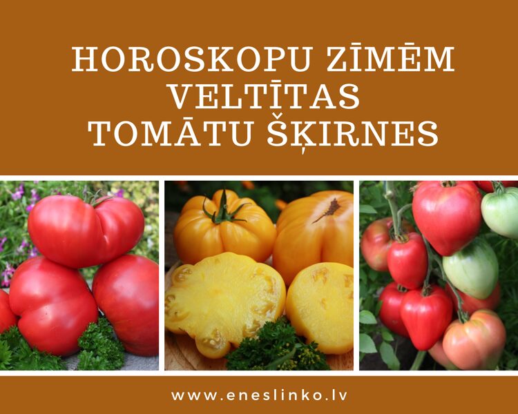 Horoskopu zīmēm veltīti