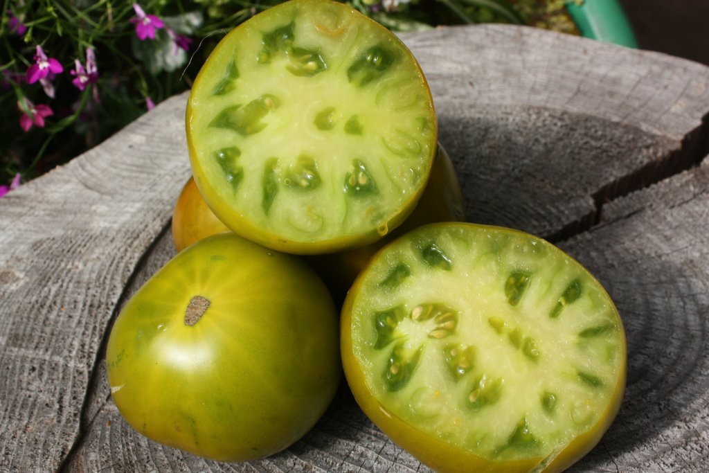 Kivi tomāts (tomātu sēklas)