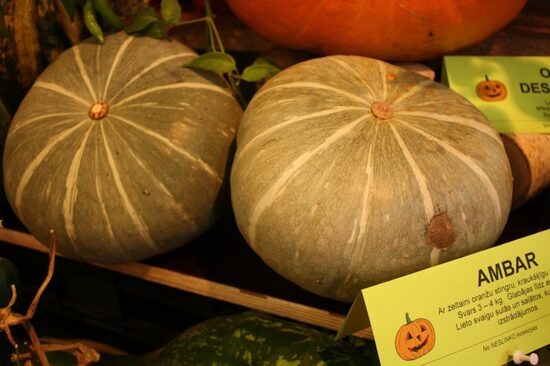 Ambar (ķirbju sēklas)