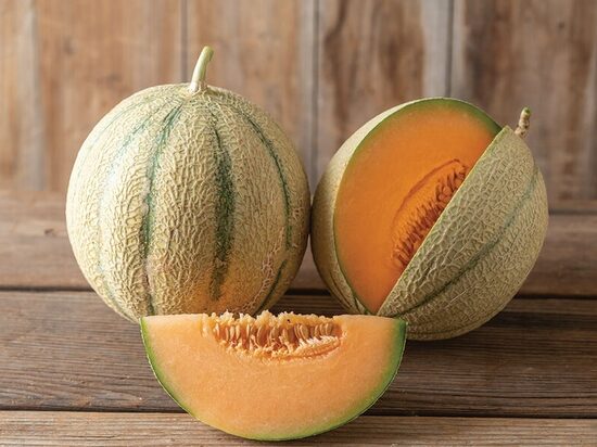 Melone 'Charenatais' (stāds podiņā)