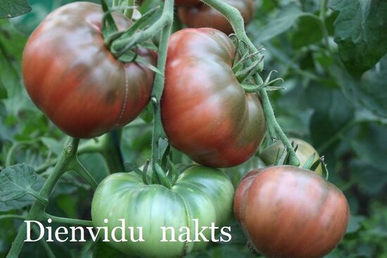 Katrai krāsai sava garša