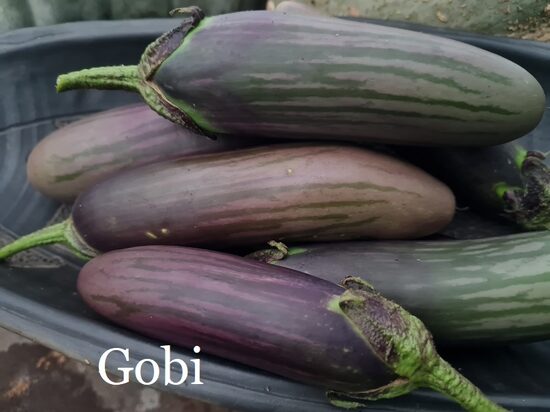 Gobi (baklažāna stāds podiņā)