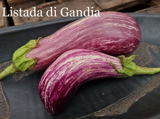 Listada di Gandia  (baklažāna stāds podiņā)