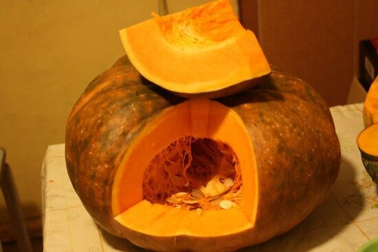 Muskate de Provance (ķirbja stāds podiņā)