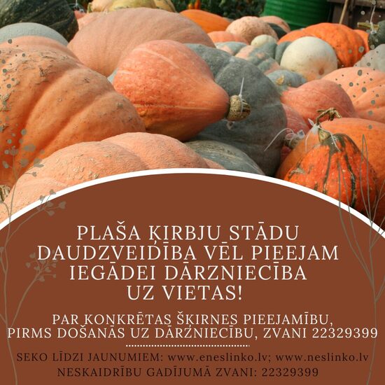 ĶIRBJU STĀDI