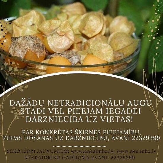 NETRADICIONĀLU AUGU STĀDI