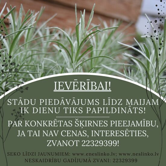 IEVĒRĪBAI!