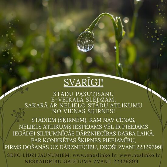 Stādu pieejamība