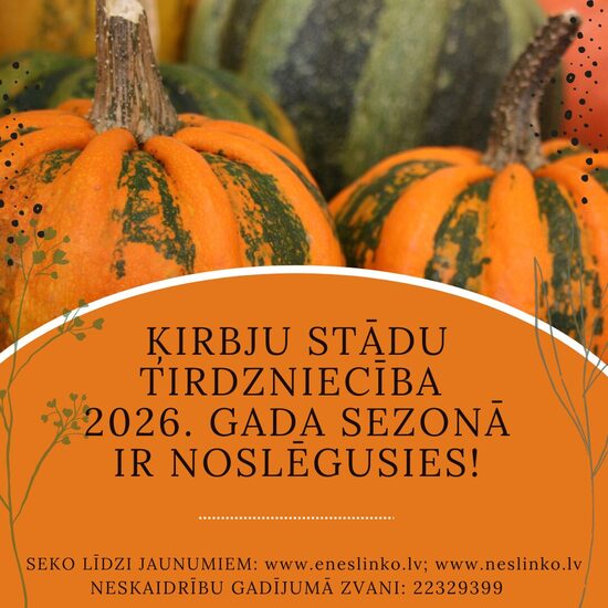 ĶIRBJU STĀDI