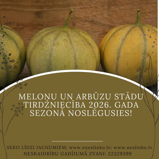 MELOŅU UN ARBŪZU STĀDI