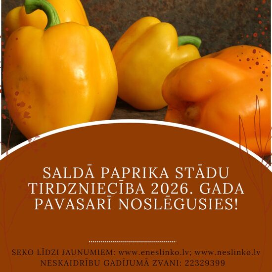 SALDĀS PAPRIKAS STĀDI