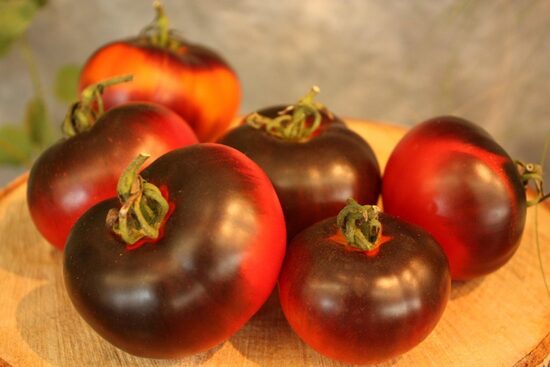 Sārtās ogles (tomāta stāds podiņā)