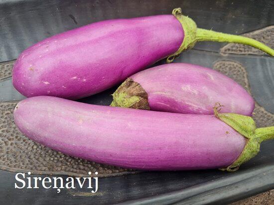 Sireņavij (baklažāna stāds podiņā)