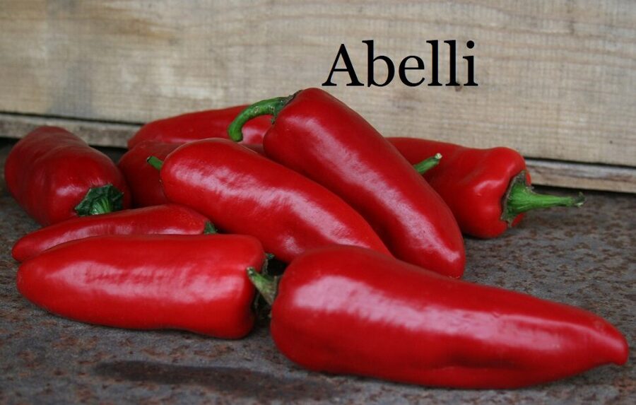 Abelli (paprikas stāds podiņā)