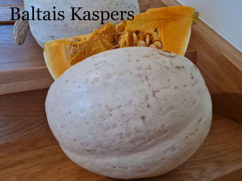 Baltais Kaspers (ķirbju sēklas)