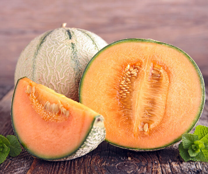 Melone 'Bari'