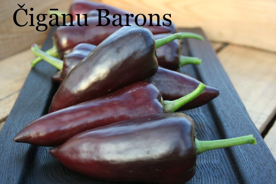 Čigānu Barons jeb Gypsy Baron (paprikas stāds podiņā)