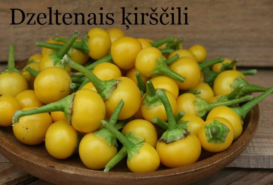 Dzeltenais ķirščili (7*) (aso piparu sēklas)