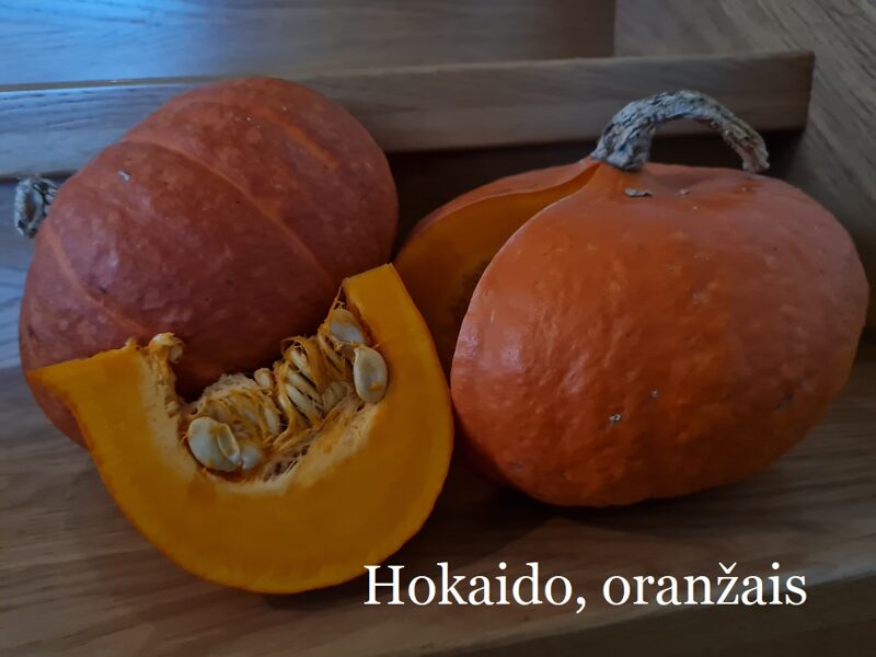 Hokaido, oranžs (ķirbju sēklas)
