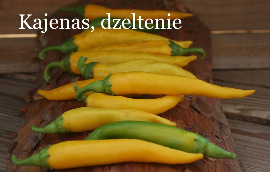 Kajenas, dzeltens (6/7*) (aso piparu sēklas)