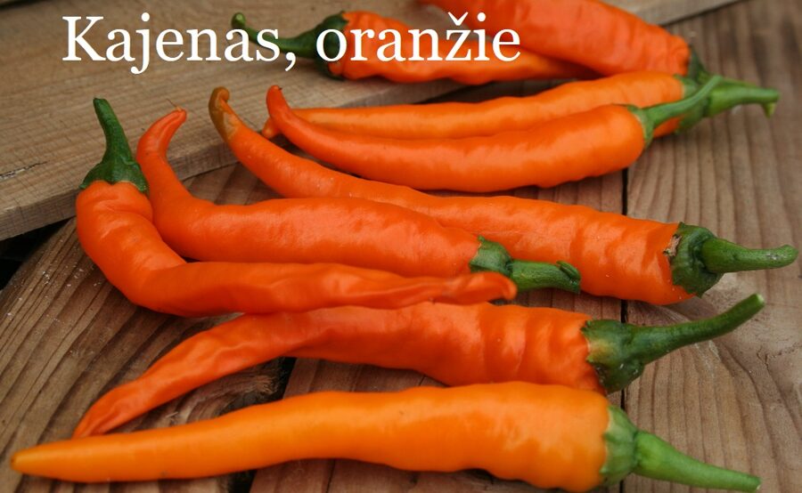Kajenas, oranžs (6/7*) (aso piparu sēklas)