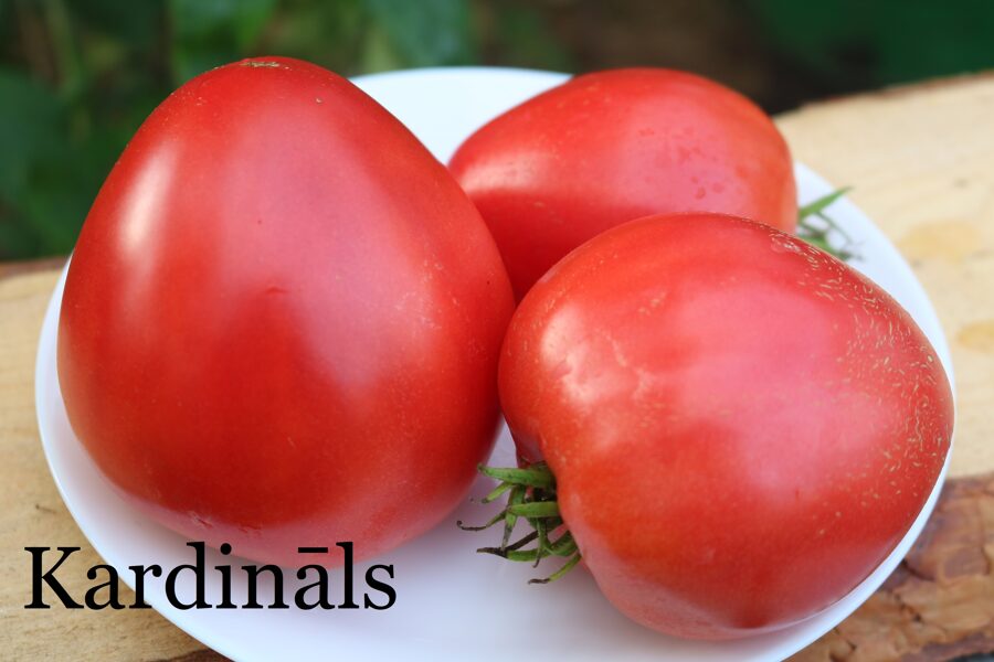 Kardināls (tomātu sēklas)