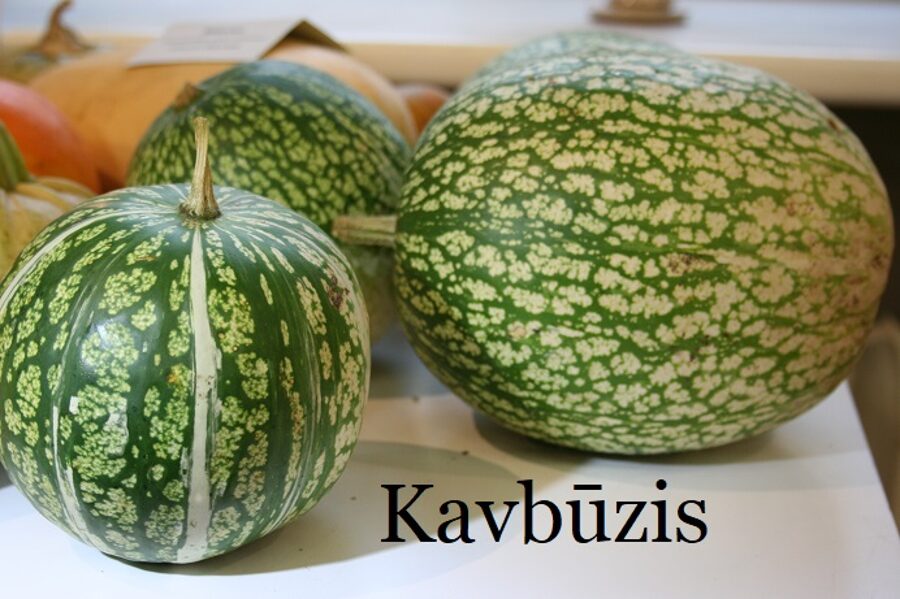 Kavbūzis (ķirbju sēklas)