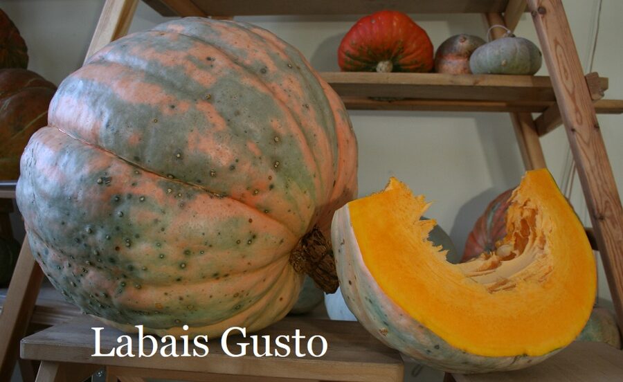 Labais Gusto (ķirbju sēklas)