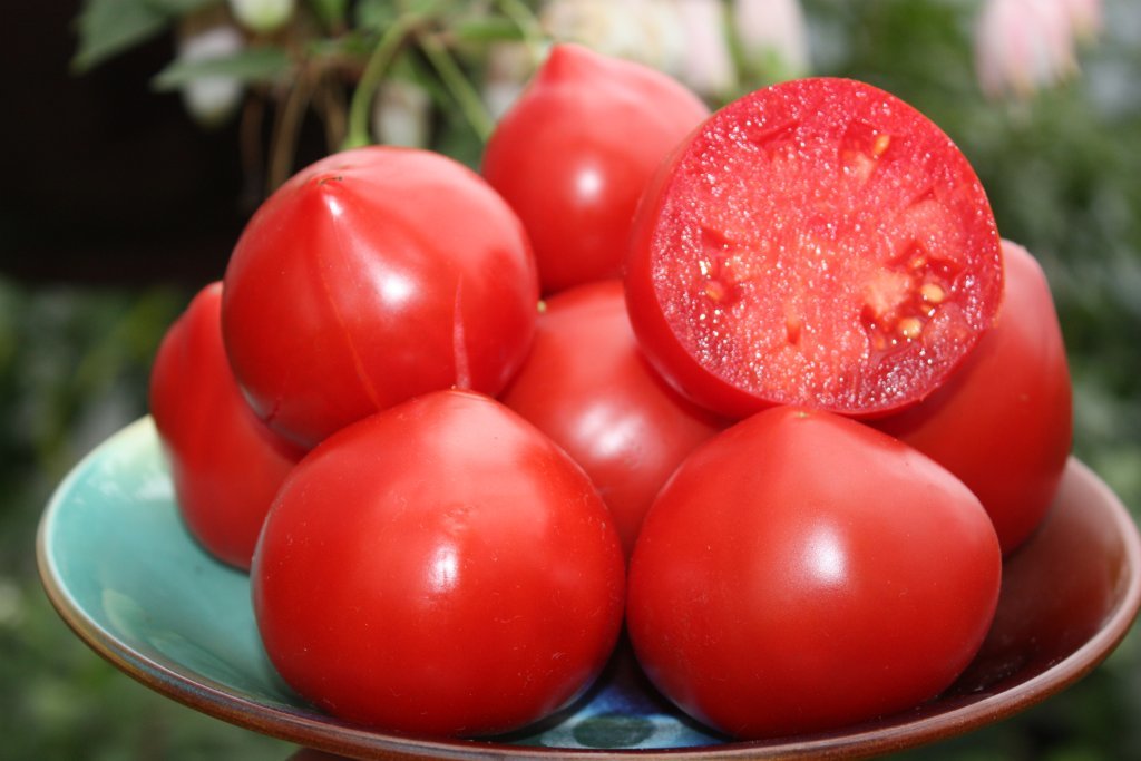 Lepnā sibīriete (tomātu sēklas)