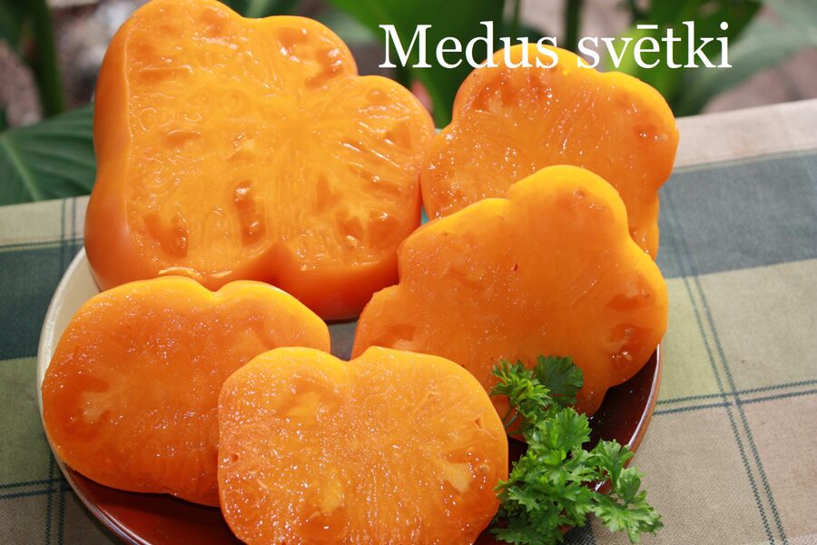 Medus svētki (tomāta stāds podiņā)