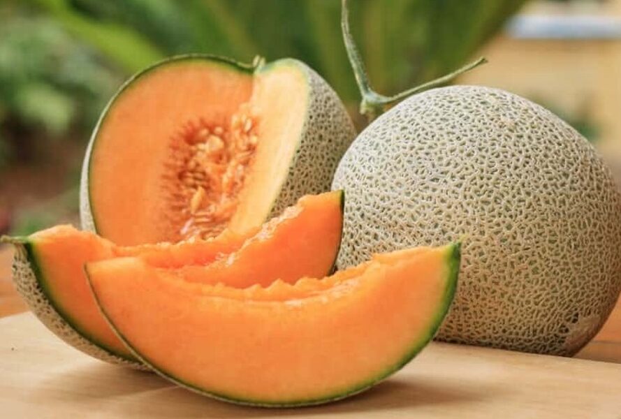 Melone 'Hert of Gold'