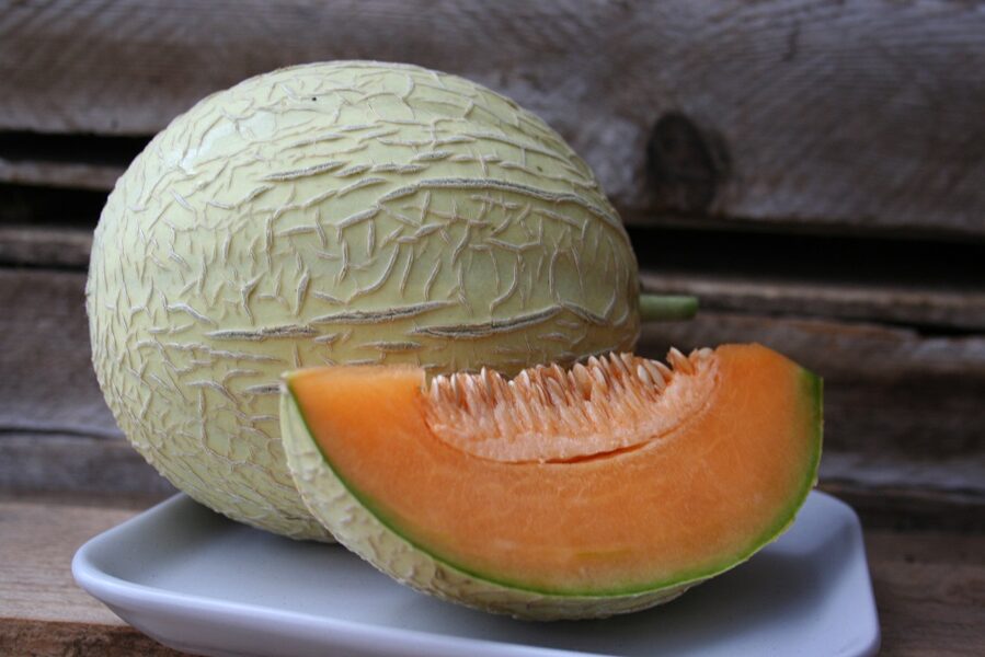Melone 'Emir F1'