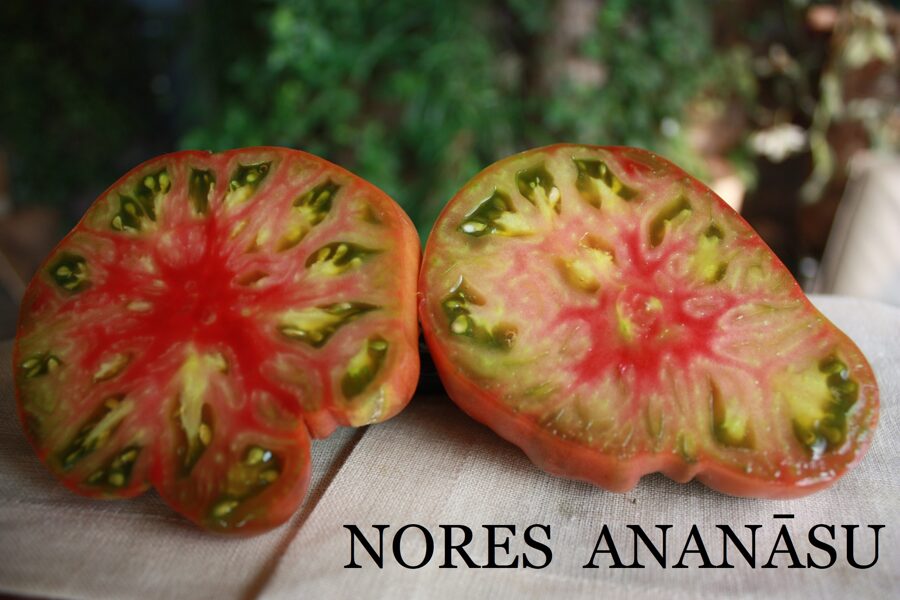 Nores ananāsu (tomātu sēklas)