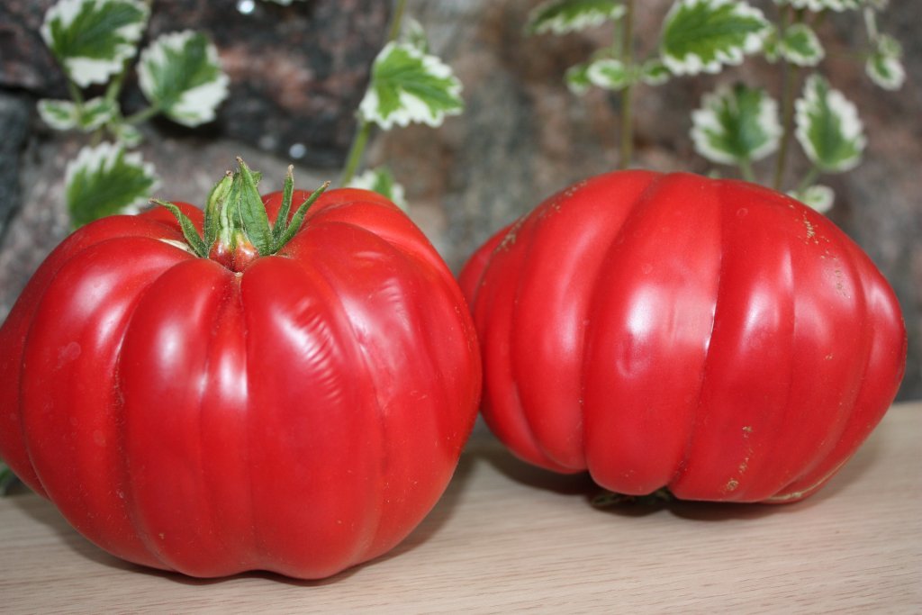 Polonēze (tomātu sēklas)