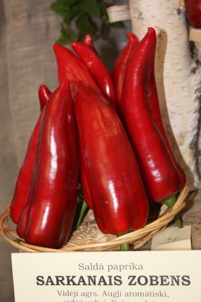 Sarkanie zobeni (paprikas sēklas)