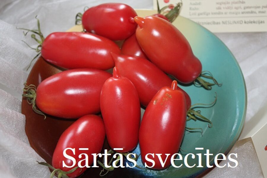 Sārtās svecītes (tomātu sēklas)