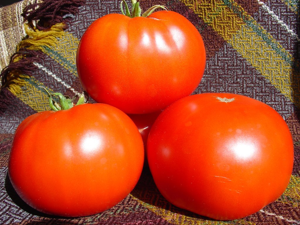 Stoksdeils(tomātu sēklas)