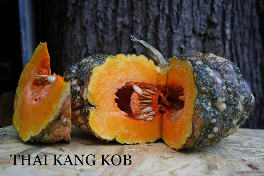Thai Kang Kob (ķirbju sēklas)