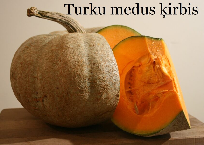Turku medus ķirbis (ķirbju sēklas)