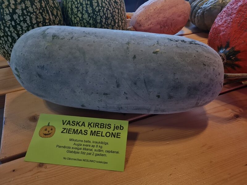 Vaska ķirbis jeb Ziemas melone