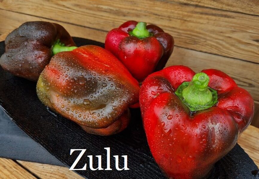 Zulu (paprika)