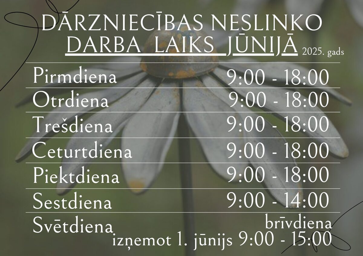 Olive_Coffee_Shop_Opening_Hours_Instagram_Post__Daily_Agenda_Display_.jpg