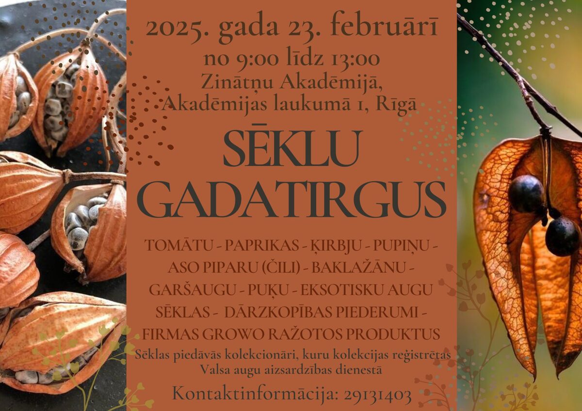 seklu_gadatirgus_23_02_2025-1.jpg