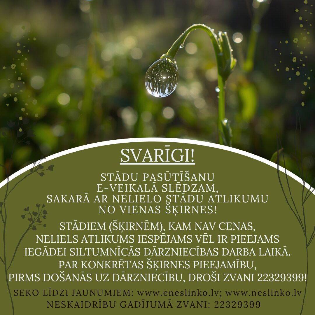 pavasaris_2026__22_.jpg